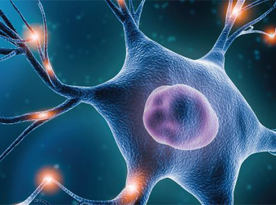 Durere neuropata