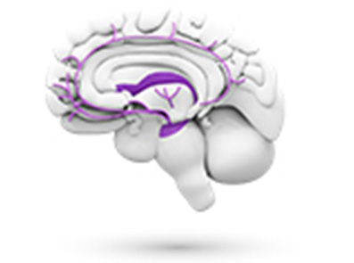 Epilepsia