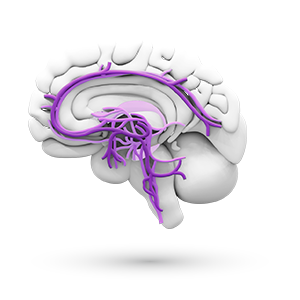 Psychiatry