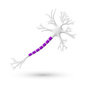 neuron