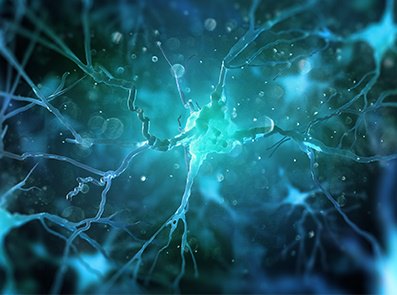 imagine neuron microscop electronic, retea neuroni